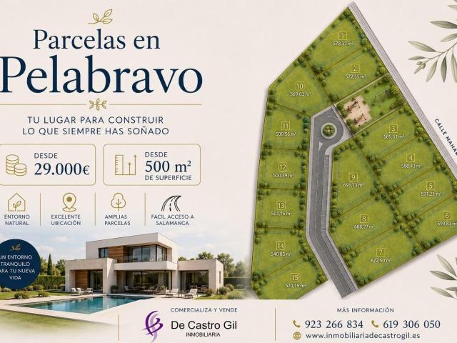 Parcelas en Venta en Pelabravo