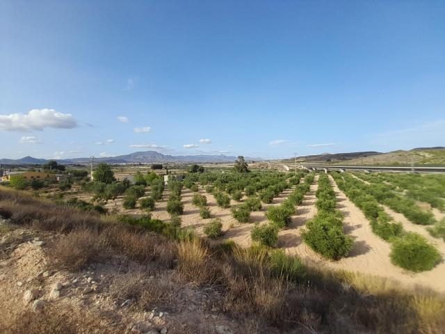 PARCELAS EN ASPE