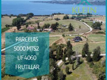 Parcelas en frutillar