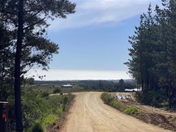 PARCELAS EN PICHILEMU A 10 MINUTOS DE TRANQUILA PLAYA 5000M2
