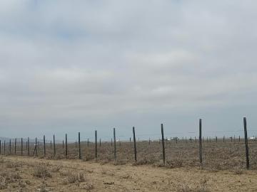 Parcelas La Higuera | venta | Se venden 4 Parcelas en venta en Los Choros – 5.000 m² cada una: CLP 52000. 00