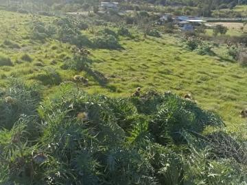 Parcelas Litueche | venta | Parcela plana 5000 m2, condominio, CLP 17990. 00