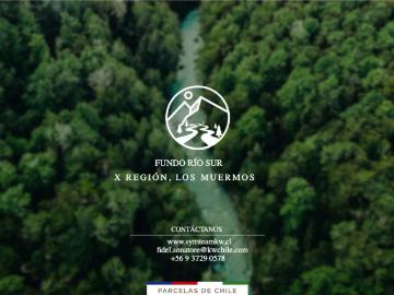 Parcelas Los Lagos | venta | Parcelas FUNDO RÍO SUR Los Muermos: CLP 25990. 00