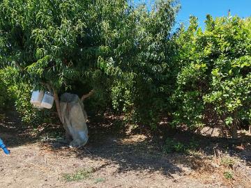 Parcelas olmué | venta | oportunidad de inversion en olmue parcela: clf 5034.00