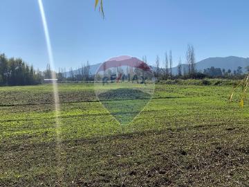 Parcelas Pichidegua | venta | Parcela en pichidegua bajamos el precio: CLP 78000. 00