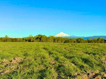 Parcelas planas rol propio a 20 minutos villarrica