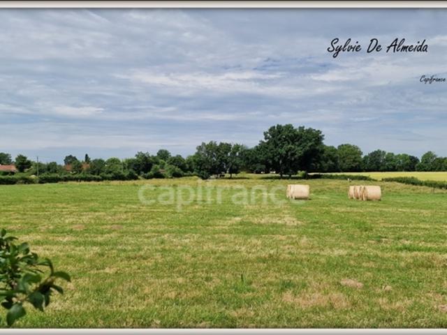 Parcelle de Terrain à bâtir, à vendre, hors lotissement de 2 493,00 m² BEREZIAT 01 plat, calme, campagne