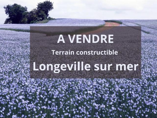 Parcelle de terrain constrcutible Longeville sur mer