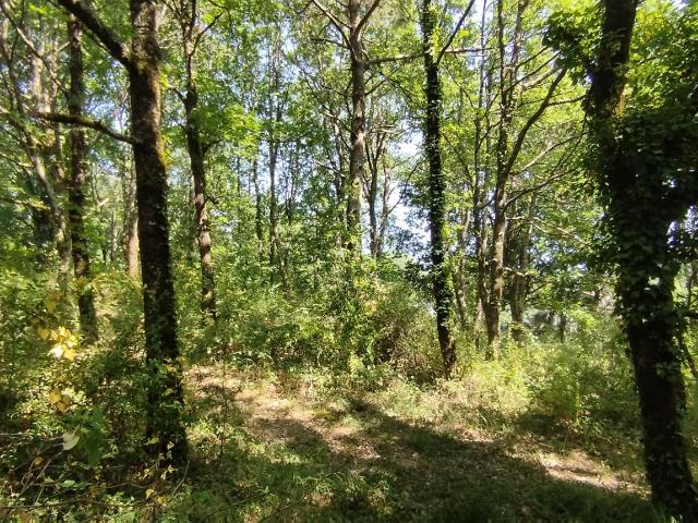 PARCELLE DE TERRAIN CONSTRUCTIBLE D'ENVIRON 2000 m2