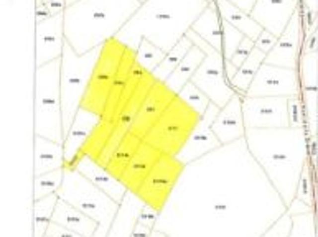 Parcelles agricoles lieux dits Longue Fontaine et Wairipé