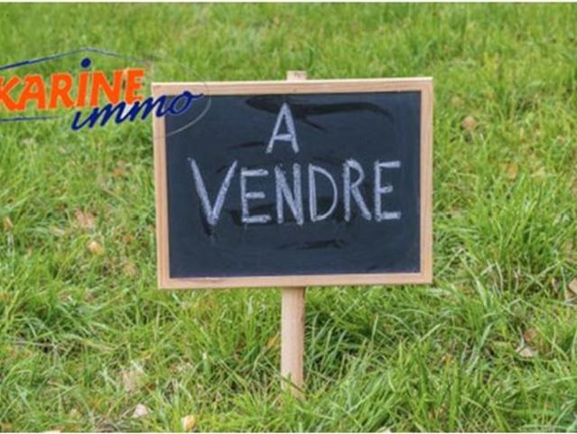 Parcieux Vente Terrain 01