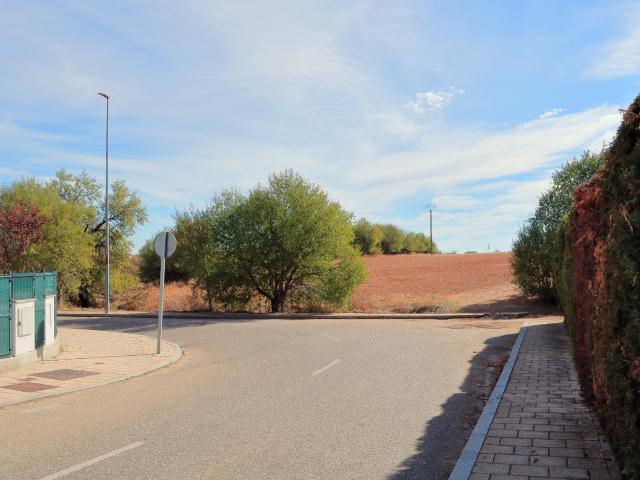 Pareado en Fuente Berrocal