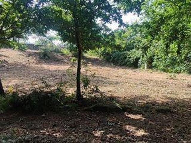 Paredes De Coura Viana Do Castelo LS98968763