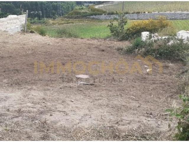 Paredes Paredes LS101958801