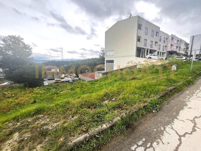 Paredes Paredes LS101958811