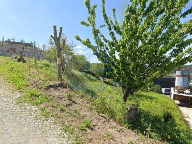 Paredes Porto LS94416113