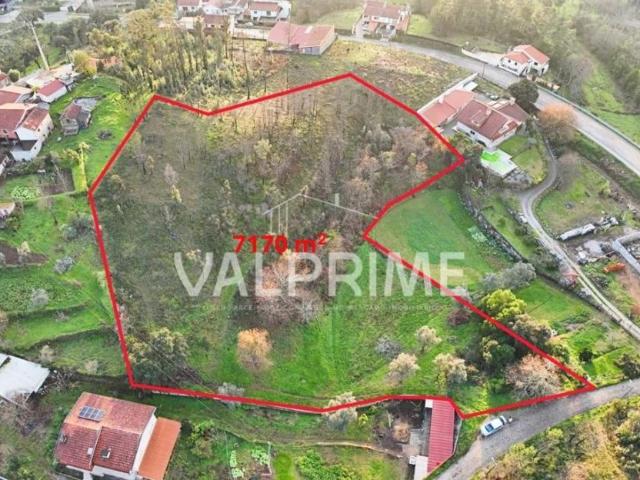 Paredes Porto LS99495543