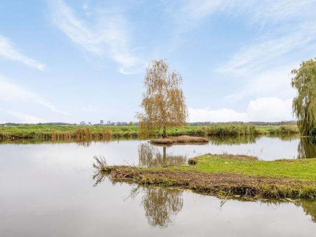 Parelduikersingel, 33, 2492PG, Den Haag, Zuid Holland 2492PG