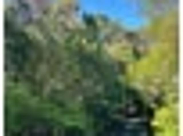 Paremoremo Lifestyle Multi Dwelling Opportunity