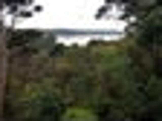 Paremoremo, 3 bedrooms, $695 pw
