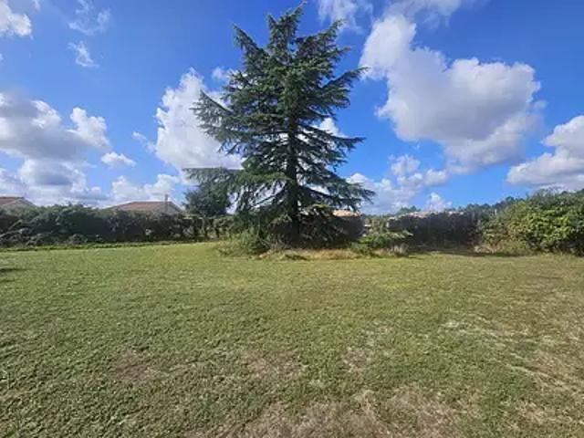Parentis en Born 40160 Achat / Vente terrain