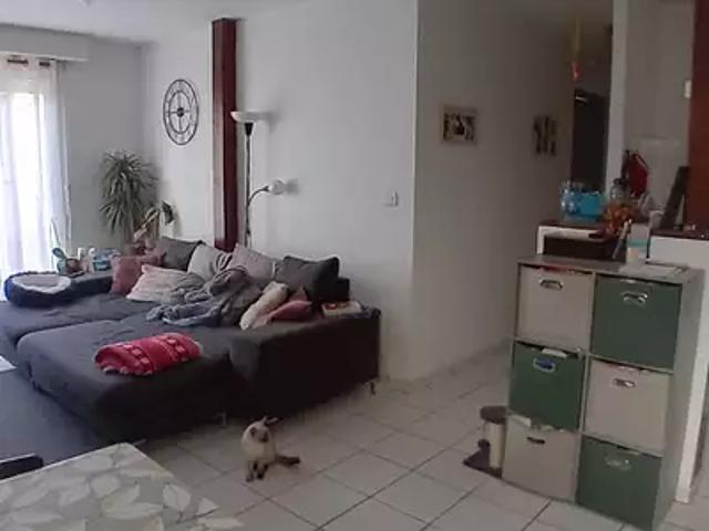 Parentis en Born 40160 Location appartement 3 pièces t3 au dernier étage