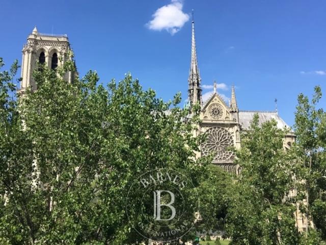 Paris 5 exceptionnelles vues sur Notre Dame appartement traversant, rénové, 2 chambres