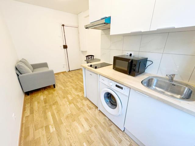 Paris 19 Location Appartement 75