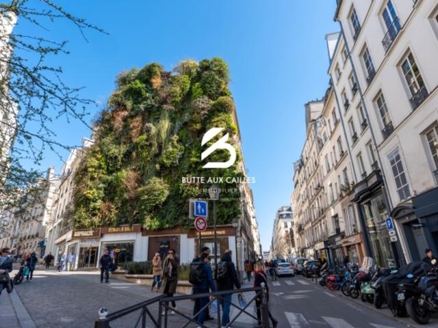 PARIS 2EME PETIT CARREAUX / MONTORGUEIL LOFT EN TRIPLEX 70 m2 DERNIER ÉTAGE CALME ET LUMINEUX