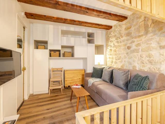 Paris city center apartment