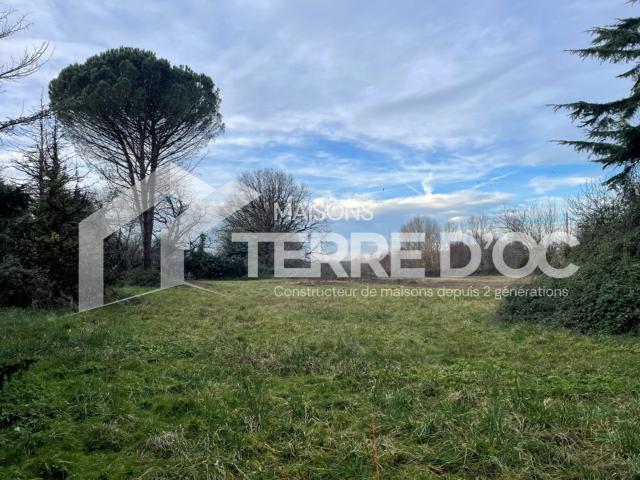 Parisot Vente Terrain 81