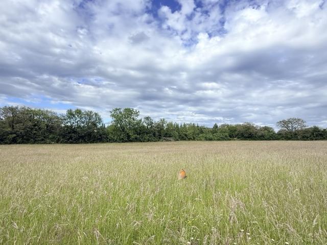 Parisot Vente Terrain 82