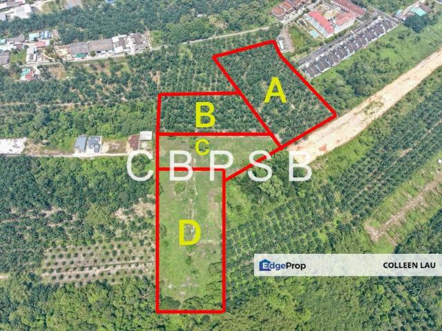 Parit Bintang Peserai