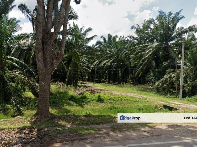 Parit Raja Commercial land