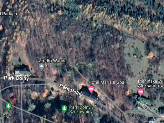 Park Dolny 43 100 m², Szczawnica