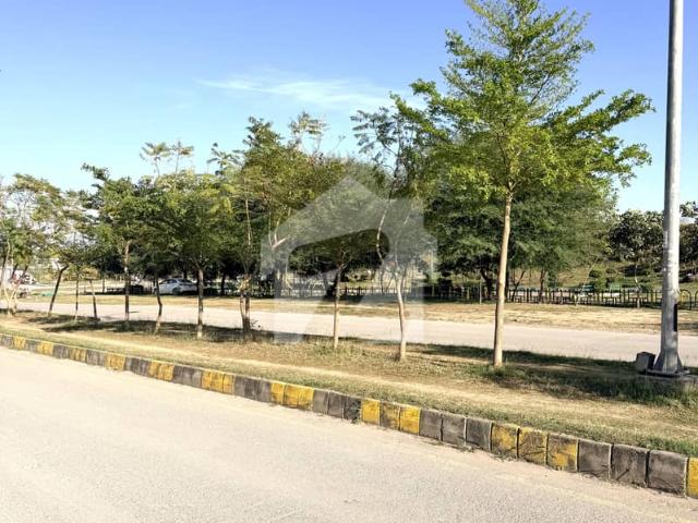 Park face 60x90 plot for sale major road 1