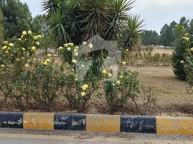 Park Facing Plot For Sale