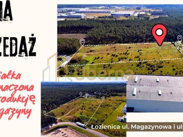 Park Technologiczny 27 586 m², Łozienica