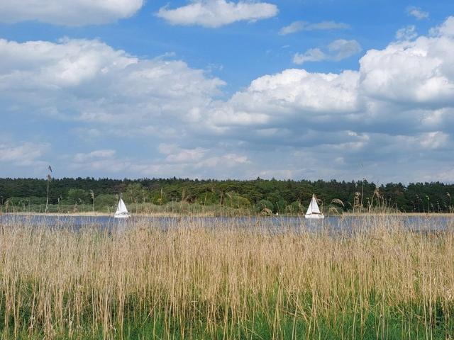 Parkähnliches Grundstück mit B Plan am Ufer des Hohennauener Sees, fußläufig z. Golfresort Semlin