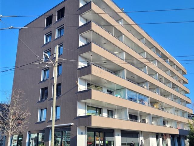 Wohnsitz in Petit Lancy, Innenparkplatz im Keller