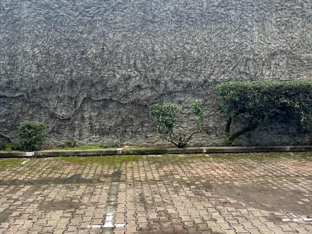 Parking/box
