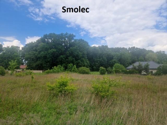 Parkowa 1 000 m², Smolec