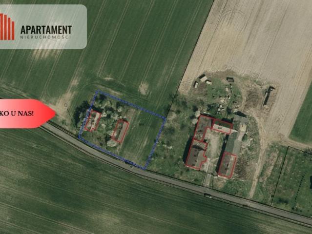 Parkowa 1 591 m², Pigża