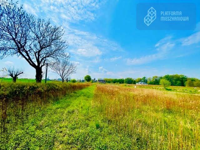 Parkowa 3 093 m², Sośnica