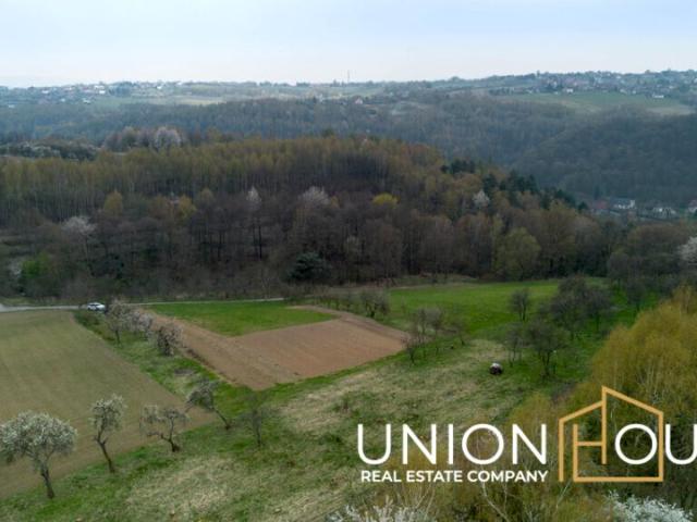 Parkowa 4 200 m², Grębynice