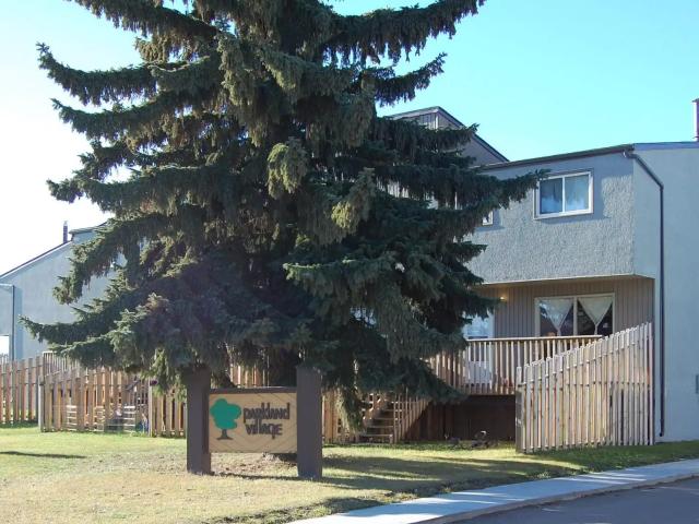 Parkland Village