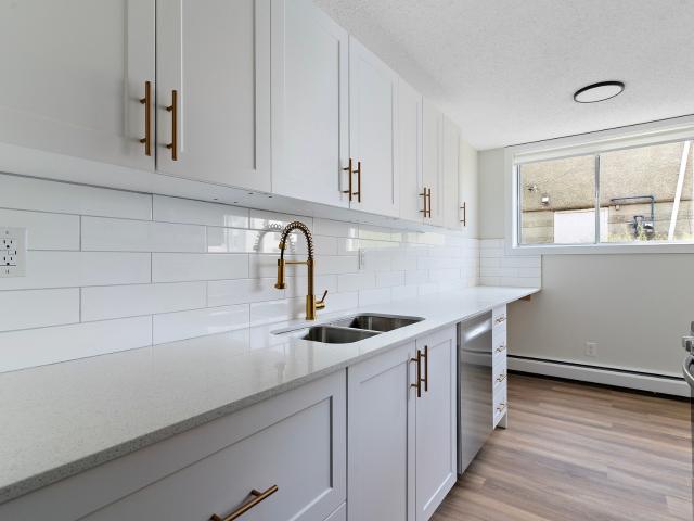 Parklane Manor Apartments – 114 Street NW Pet Friendly, Newly Renovated 1 Bedroom Apartment | Bright South Facing | Parklane Manor [object Promise] for Rent