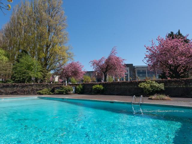 Parkview Towers 1 Bedroom Apartment for Rent at 1450 Chestnut St, Vancouver, BC V6J 3K3 Kitsilano