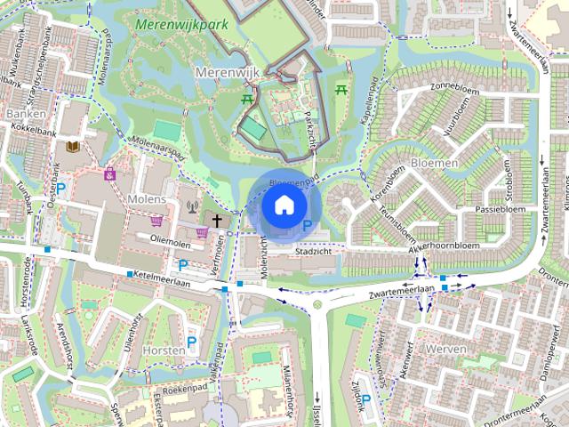 Parkzicht, 50, Leiden