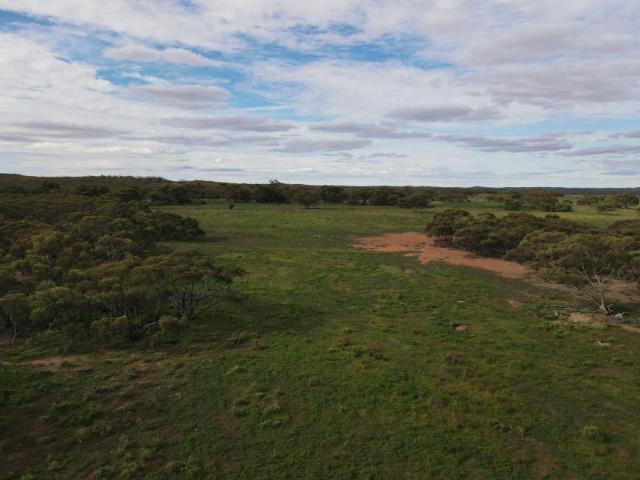 Land Parnaroo SA 102525061